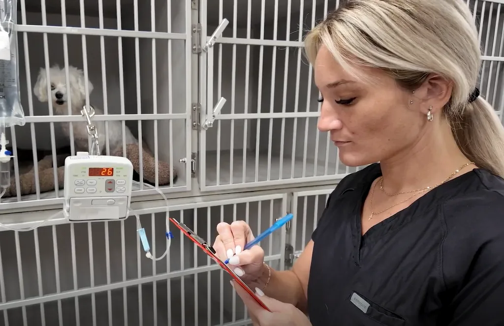 A veterinary technician writing on a clipboard beside a kennel bank, an infusion pump running for the dog resting inside.
